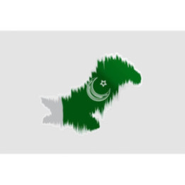 Pakistan Map Style 4 Sticker - DecalsHouse