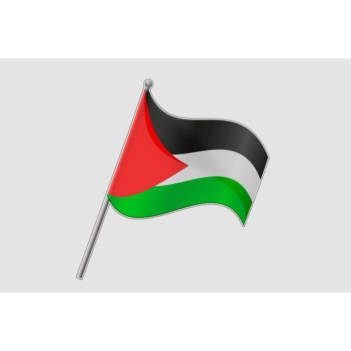Palestine Flag Ed Sticker - DecalsHouse
