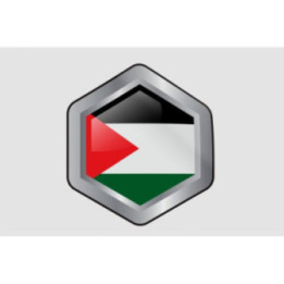 Palestine Flag Style 10 Sticker - DecalsHouse