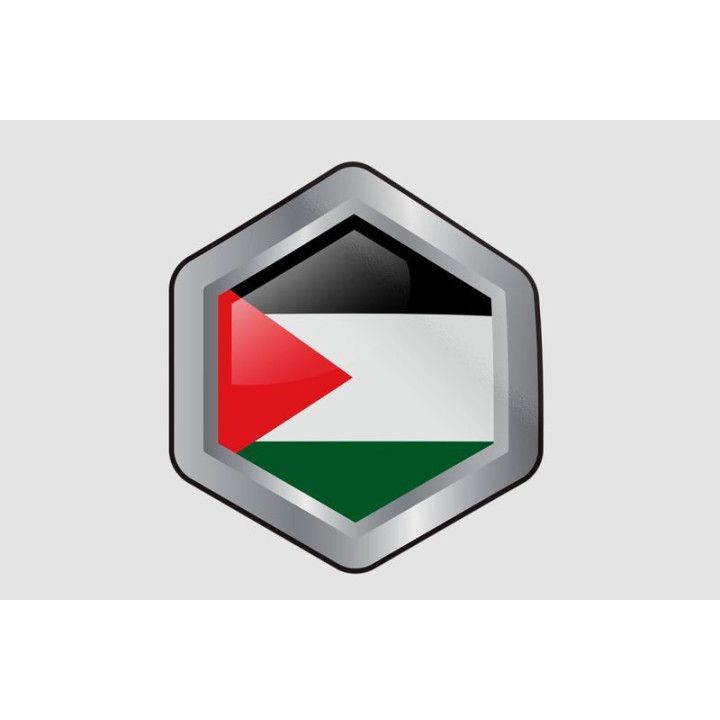 Palestine Flag Style 10 Sticker - DecalsHouse