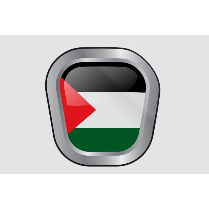 Palestine Flag Style 12 Sticker - DecalsHouse