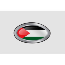Palestine Flag Style 14 Sticker - DecalsHouse