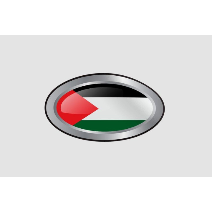 Palestine Flag Style 14 Sticker - DecalsHouse