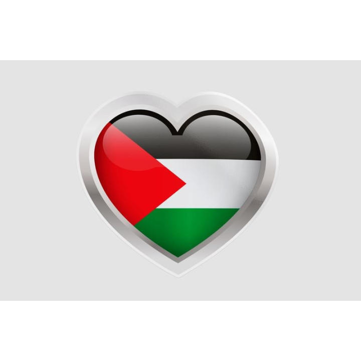 Palestine Flag Style 21 Sticker - DecalsHouse
