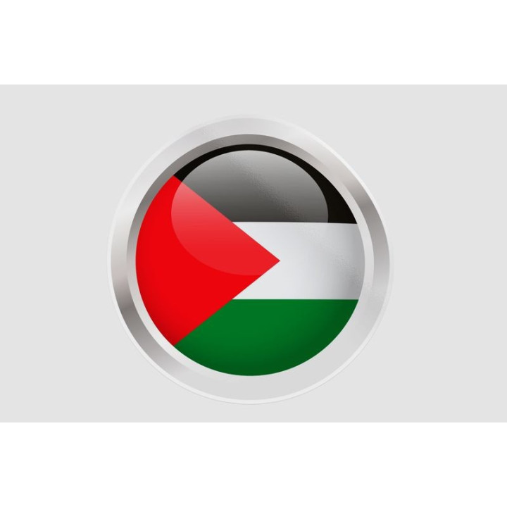 Palestine Flag Style 22 Sticker - DecalsHouse