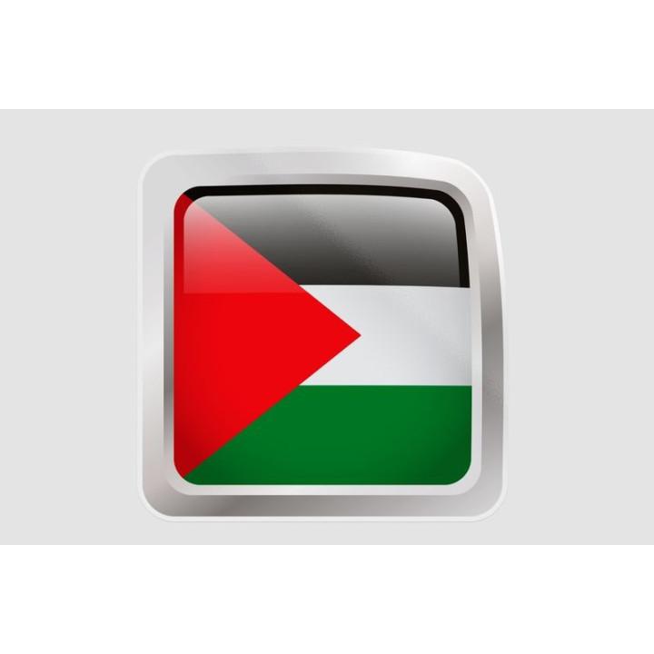 Palestine Flag Style 23 Sticker - DecalsHouse