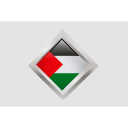 Palestine Flag Style 25 Sticker - DecalsHouse