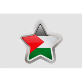 Palestine Flag Style 27 Sticker - DecalsHouse