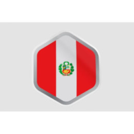 Peru Flag Style 104 Sticker - DecalsHouse