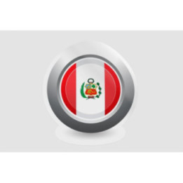 Peru Flag Style 116 Sticker - DecalsHouse