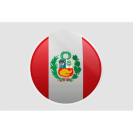 Peru Flag Style 154 Sticker - DecalsHouse