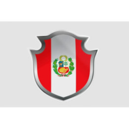 Peru Flag Style 174 Sticker - DecalsHouse
