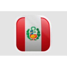 Peru Flag Style 38 Sticker - DecalsHouse