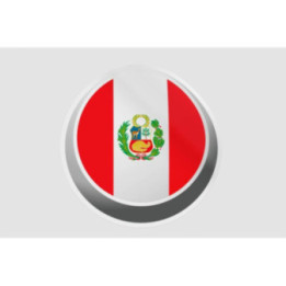 Peru Flag Style 61 Sticker - DecalsHouse