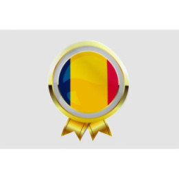 Republic Of Chad Flag Style 6 Sticker - DecalsHouse