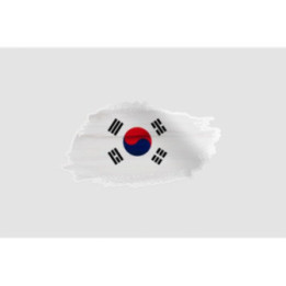 South Korea Flag Brush - DecalsHouse