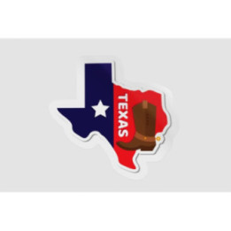 Texas Sticker - DecalsHouse