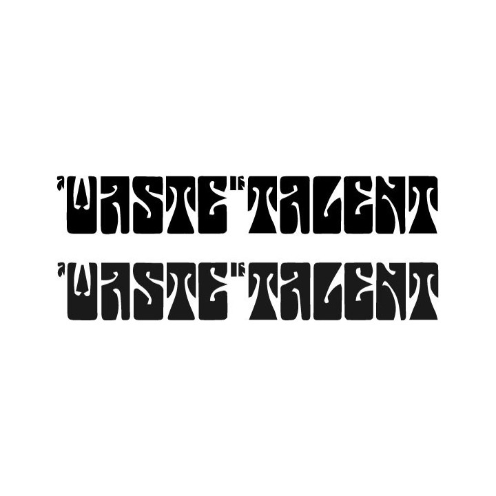 A Waste of Talent Stickers – Punk Rock Decals (2-Pack)