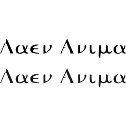 Aaen Anima Stickers – Symphonic Metal Decals (2-Pack)