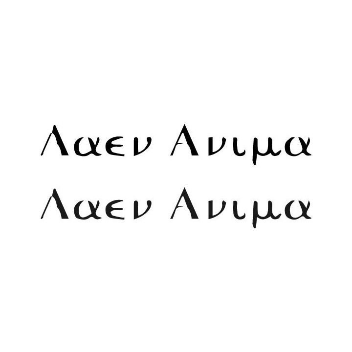 Aaen Anima Stickers – Symphonic Metal Decals (2-Pack)