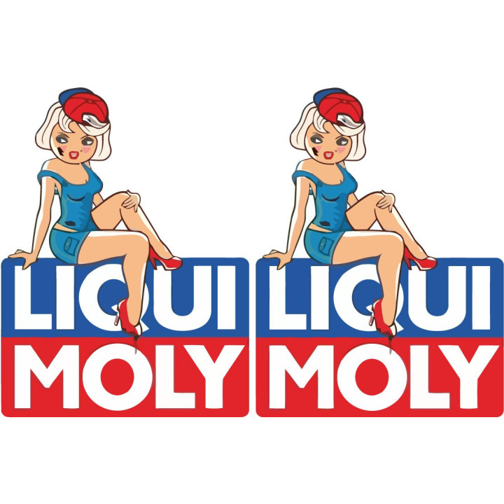 2x Liqui Moly Stickers Decals - DecalsHouse
