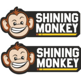 2x Shining Monkey Stickers Decals - DecalsHouse