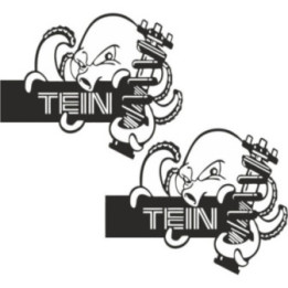 2x Tein Style 2 Stickers Decals - DecalsHouse