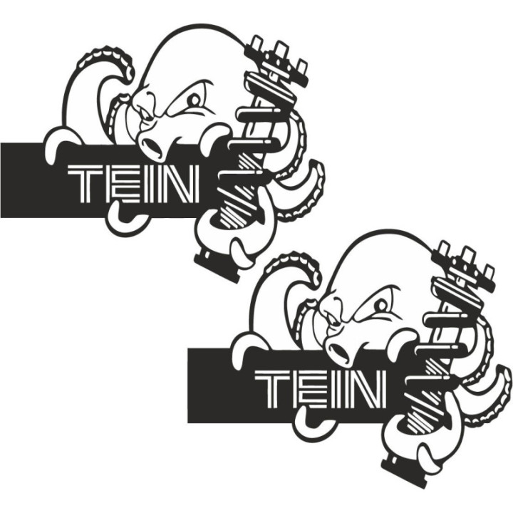 2x Tein Style 2 Stickers Decals - DecalsHouse