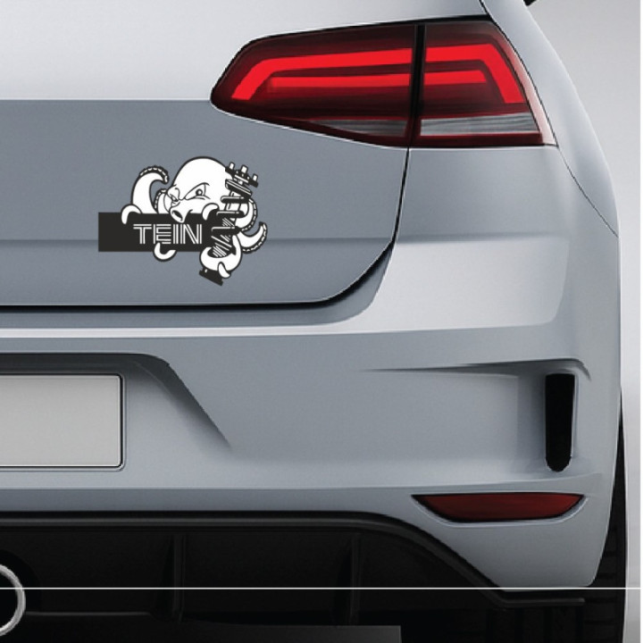 2x Tein Style 2 Stickers Decals - DecalsHouse
