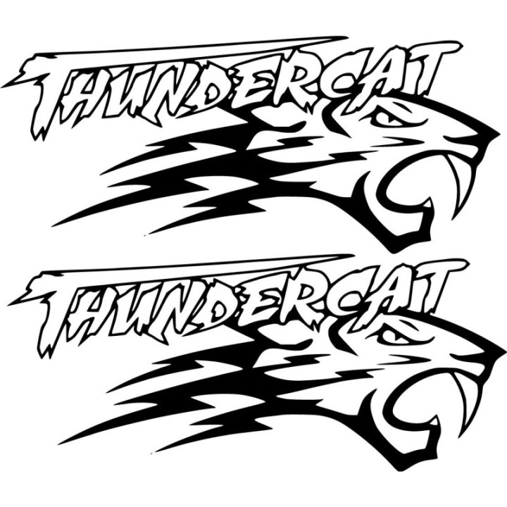 Arctic Cat Thundercat Stickers – Snowmobile ZR 1000 ATV Decals (2-Pack)