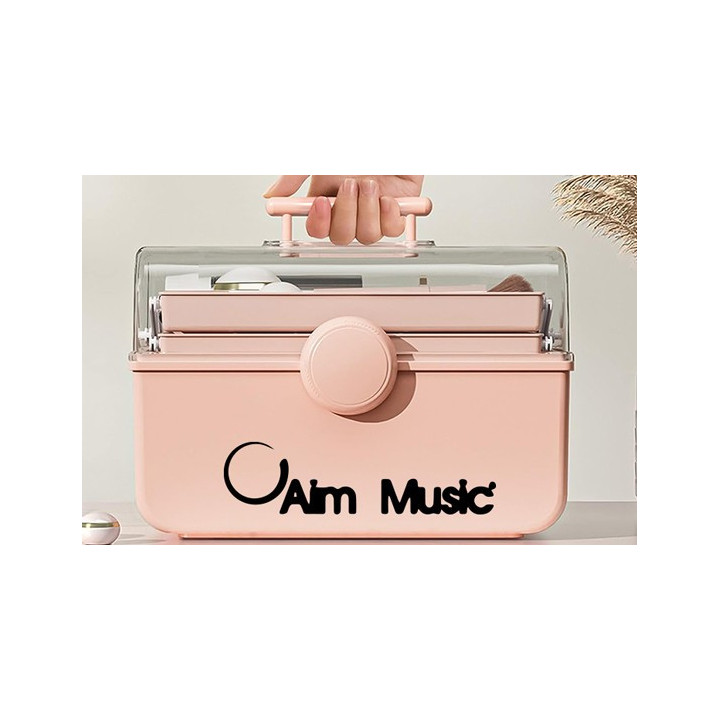 Aim Music Stickers – Record Store Music Decals (2-Pack)