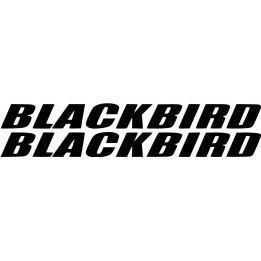 Honda Blackbird Die Cut Lettering Stickers Decals - DecalsHouse