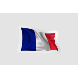 France Flag Style 4 Bce - DecalsHouse