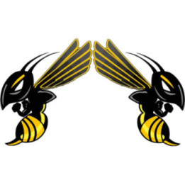 Honda CB Hornet 599 Naked Bike Stickers – Decals (2-Pack)