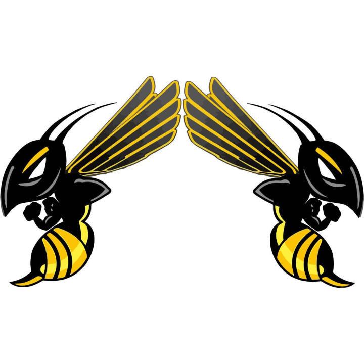 Honda CB Hornet 599 Naked Bike Stickers – Decals (2-Pack)