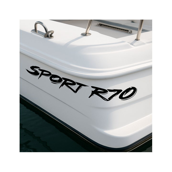 Buy Ranger Sport R70 Boat Kit Decal Sticker Online