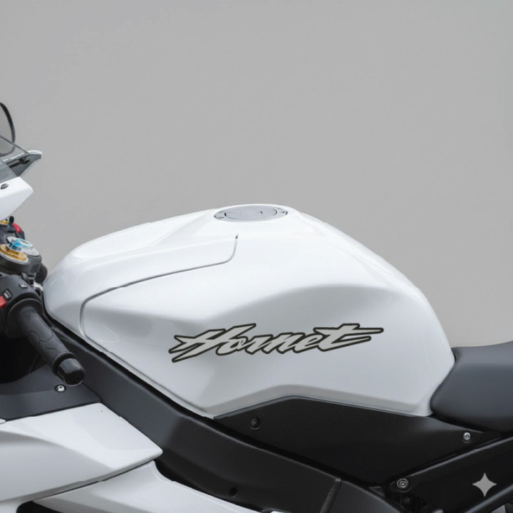 Honda Hornet Stickers – CB600F CB900F 919 Naked Bike Decals (2-Pack)
