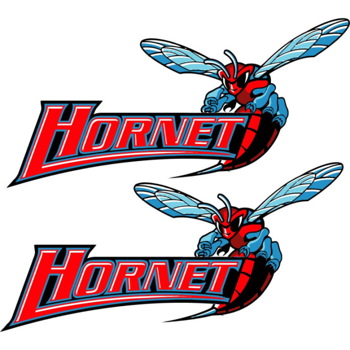 Honda Hornet Style 2 1 Stickers Decals - DecalsHouse