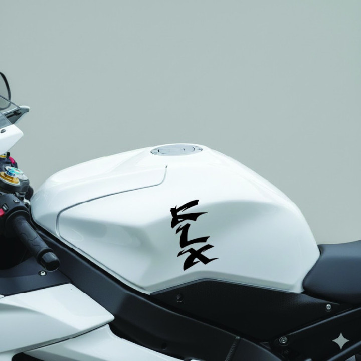 Kawasaki Klr Die Cut Style 2 Stickers Decals - DecalsHouse