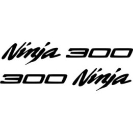 Kawasaki Ninja 300 Die Cut Stickers Decals - DecalsHouse