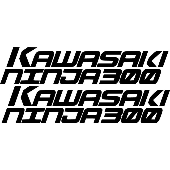 Kawasaki Ninja 300 Die Cut Style 2 Stickers Decals - DecalsHouse