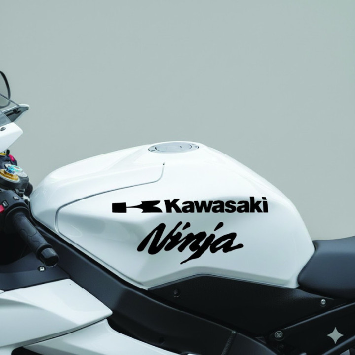 Kawasaki Ninja Logo Die Cut Style 2 Stickers Decals - DecalsHouse