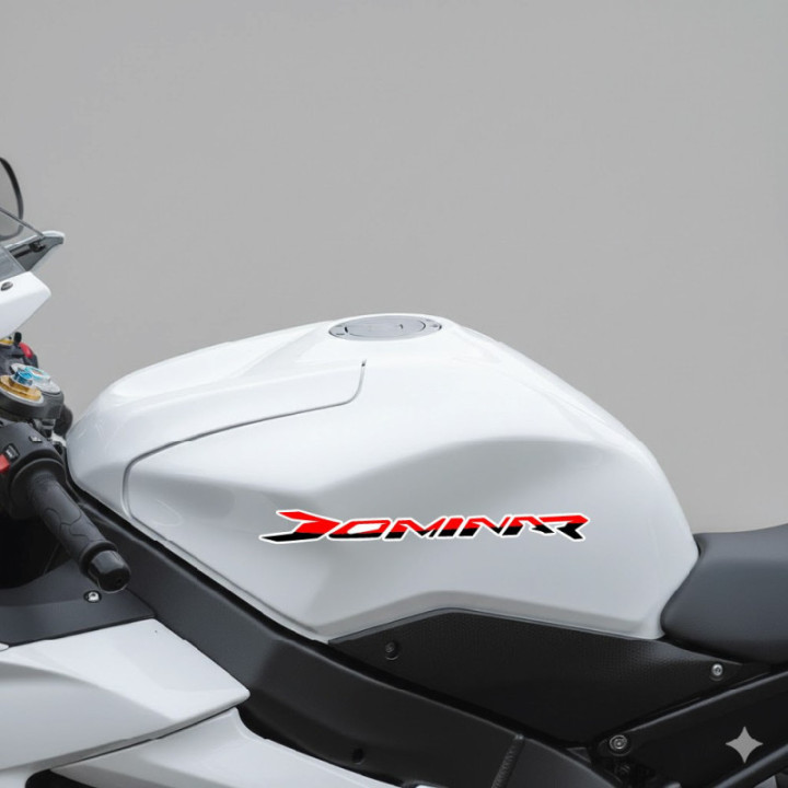 Kawasaki Dominar Stickers Decals - DecalsHouse