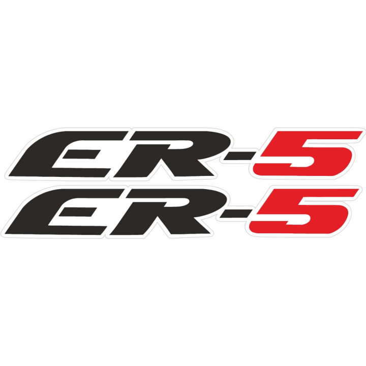 Kawasaki Er 5 Stickers Decals - DecalsHouse