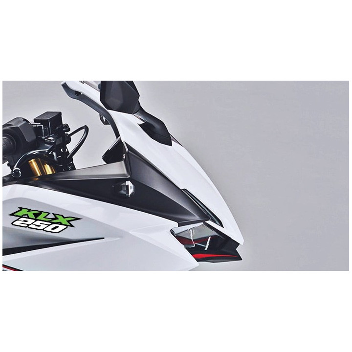 Kawasaki Klx 250 Stickers Decals - DecalsHouse