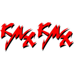 Kawasaki Kmx Stickers Decals - DecalsHouse