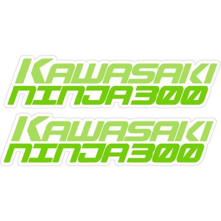 Kawasaki Ninja 300 Stickers Decals - DecalsHouse