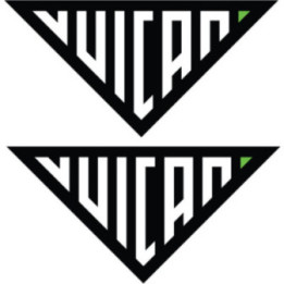 Kawasaki Vulcan Logo Stickers Decals - DecalsHouse