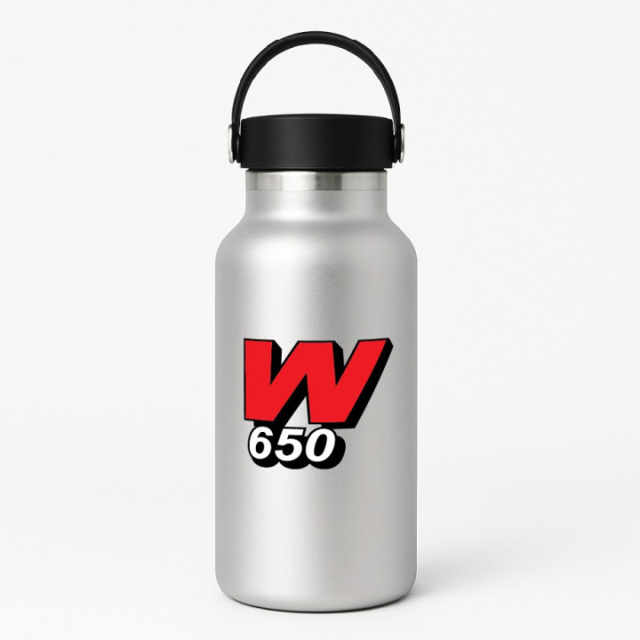 Kawasaki W 650 Style 2 Stickers Decals - DecalsHouse