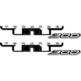 Benelli TNT 300 Naked Bike Stickers – Motorcycle Decals (2-Pack)